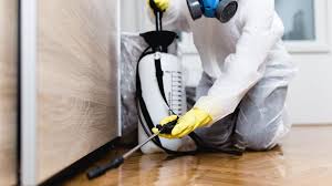 Trusted Glendale, CA Pest Control Experts